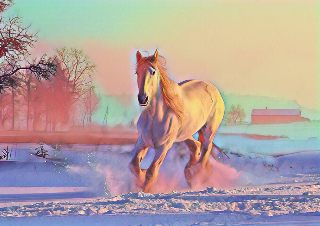 Diamond painting paard rent door de sneeuw