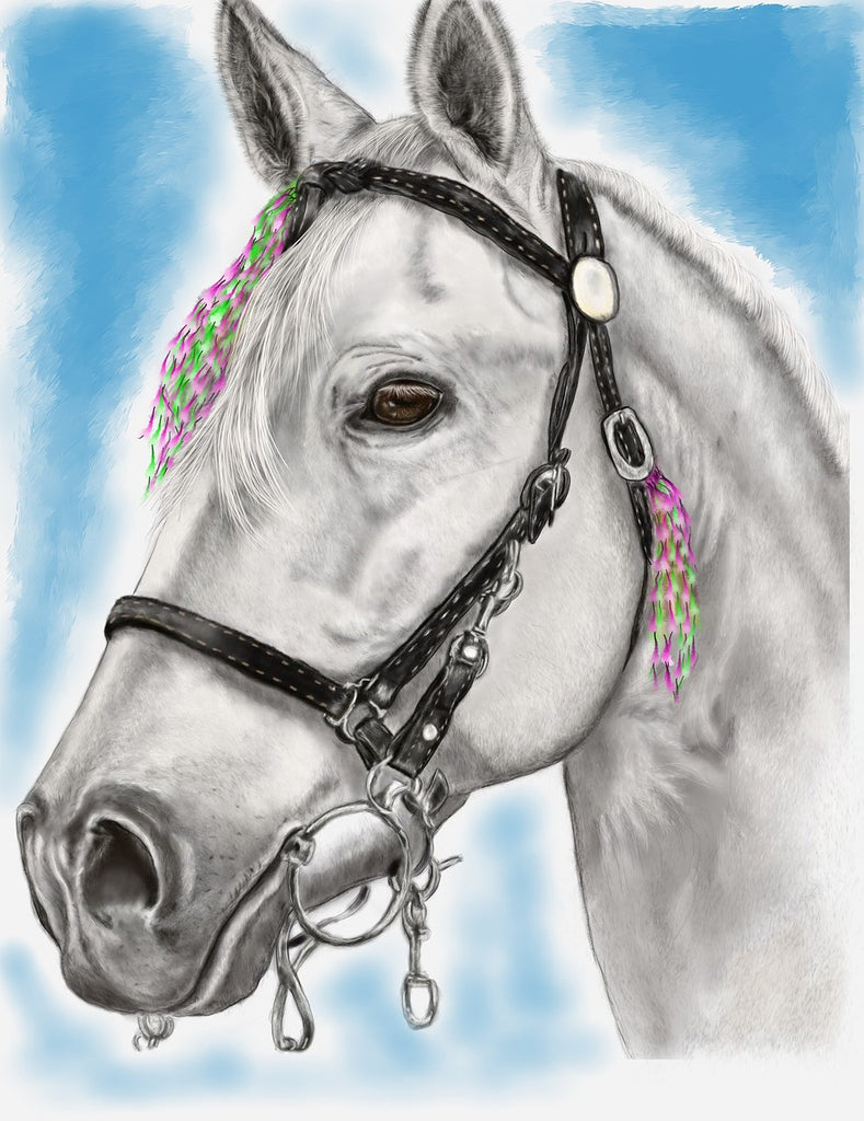 Diamond painting wit paard portret 
