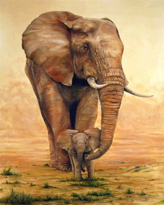 diamond painting olifant kalf