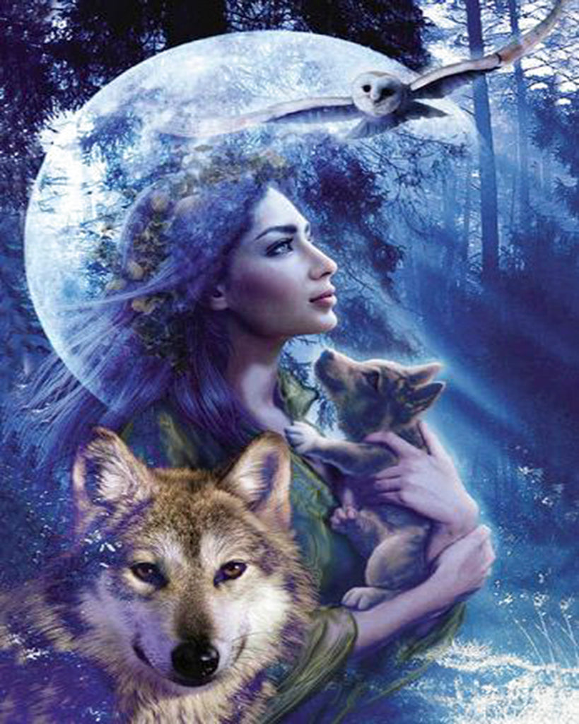Diamond painting meisje met wolf en uil