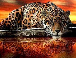 diamond painting luipaard