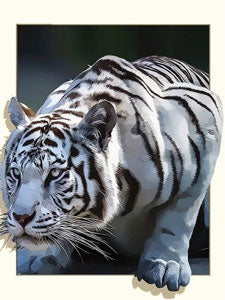 diamond painting witte tijger