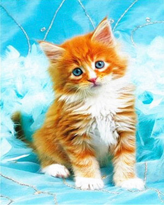 diamond painting kitten