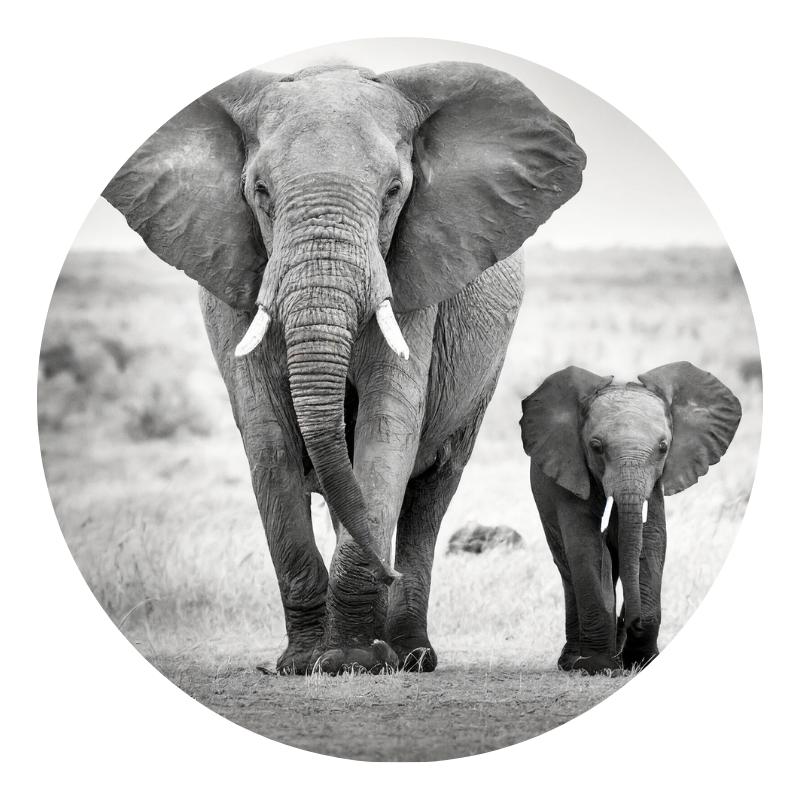 diamond painting olifant
