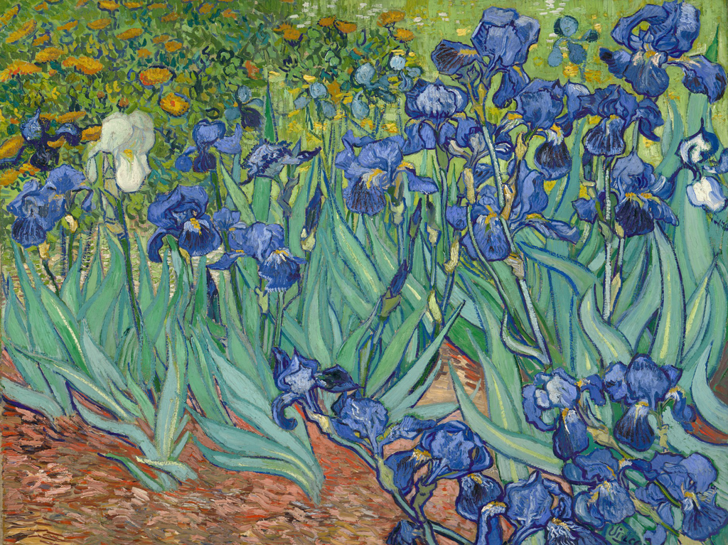 Diamond painting Irissen | Vincent van Gogh