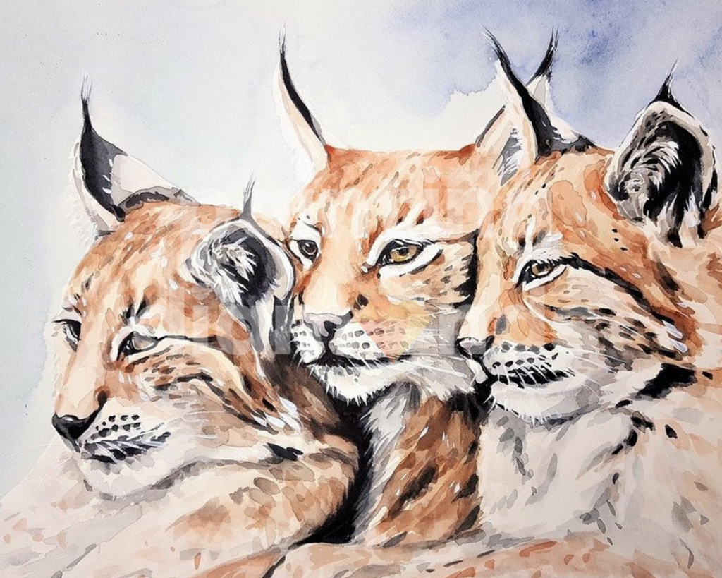 Diamond painting Lynxen | Exclusief design bij Painting Diamonds