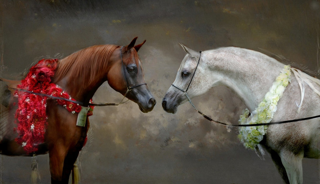 Diamond painting arabische paarden