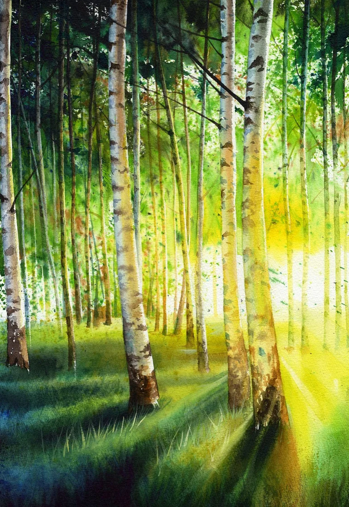 Diamond painting bomen bos groen