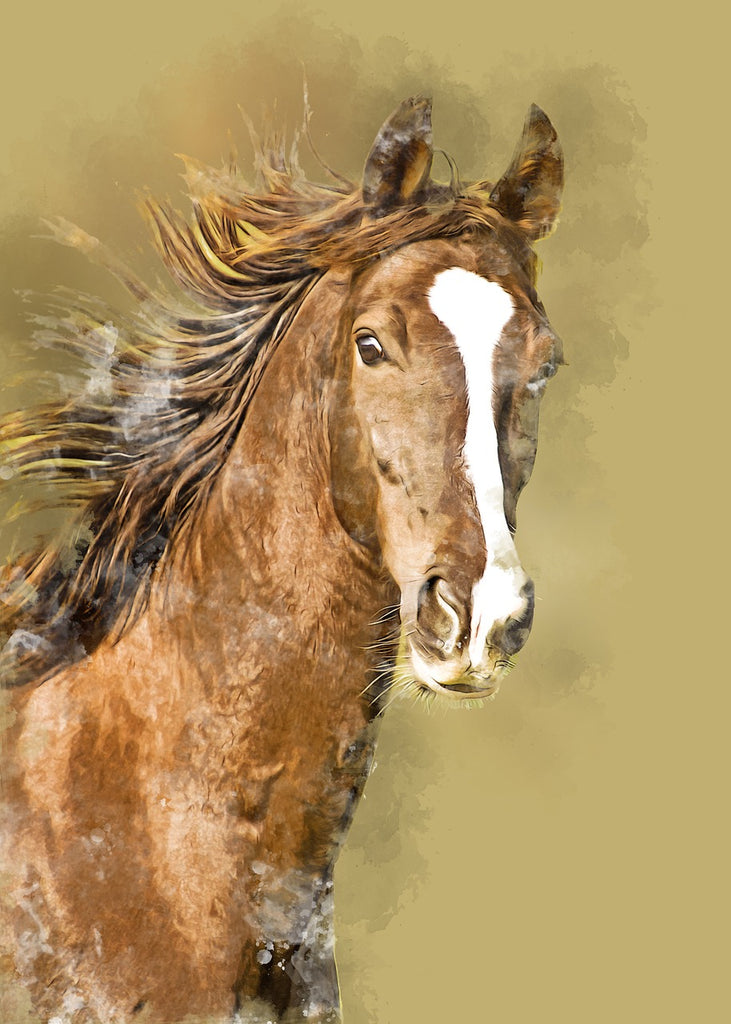 Diamond painting bruin paard fotokunst