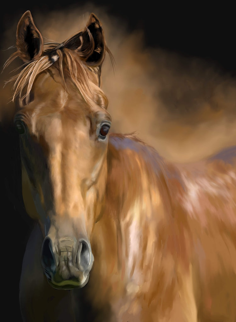 Diamond painting bruin paard illustratie