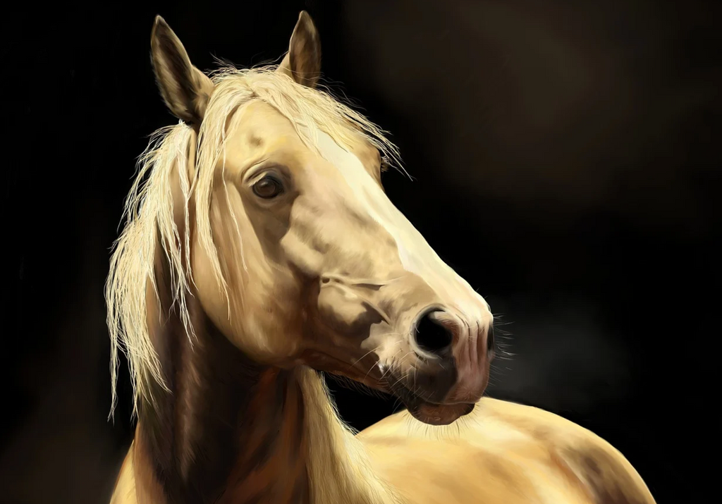 Diamond painting illustratie paard
