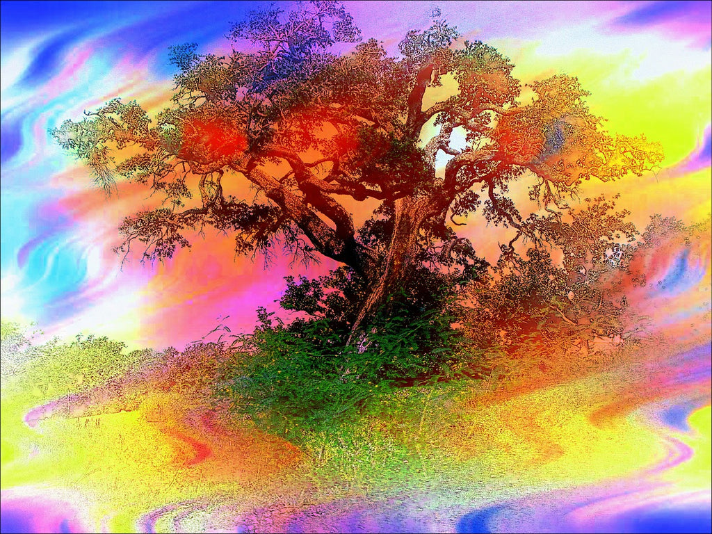 Diamond painting kleurrijke boom abstract