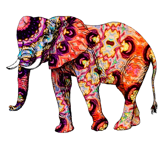 Diamond painting kleurrijke olifant