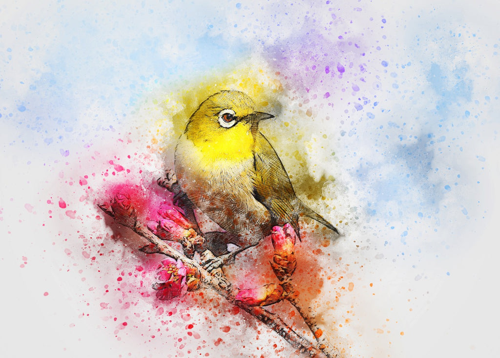 Diamond painting kleurrijke vogel kunst