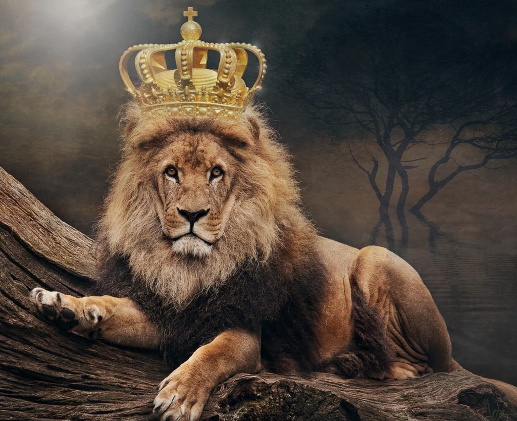 Diamond painting leeuw met kroon