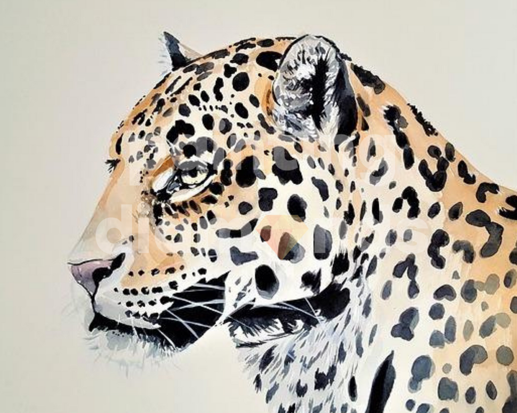Diamond painting luipaard | Exclusief design bij Painting Diamonds