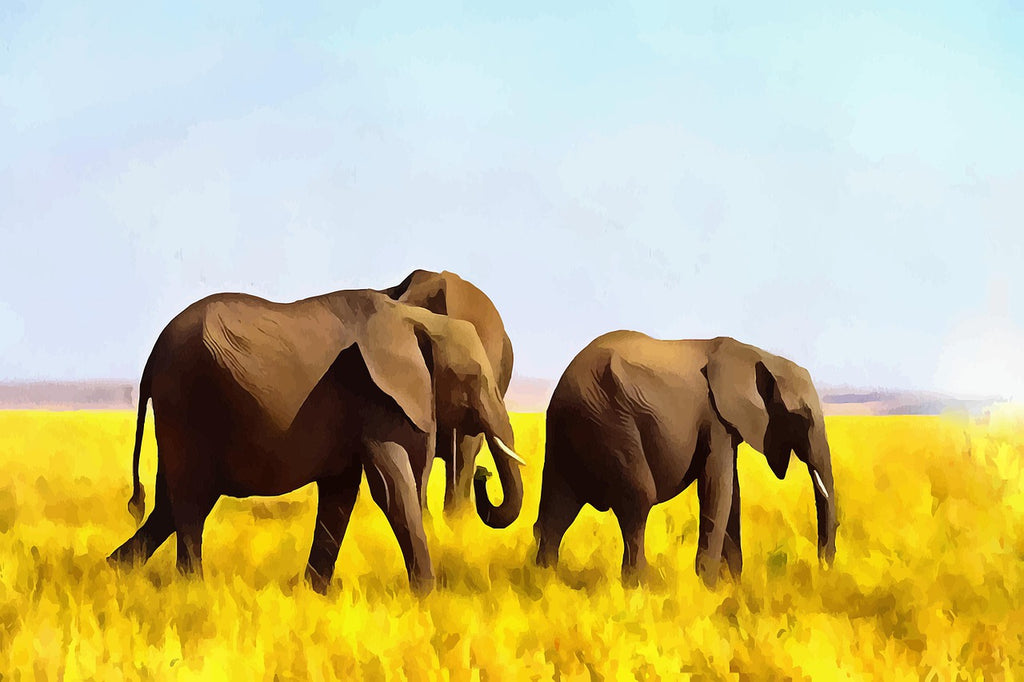 Diamond painting olifanten natuur kunst
