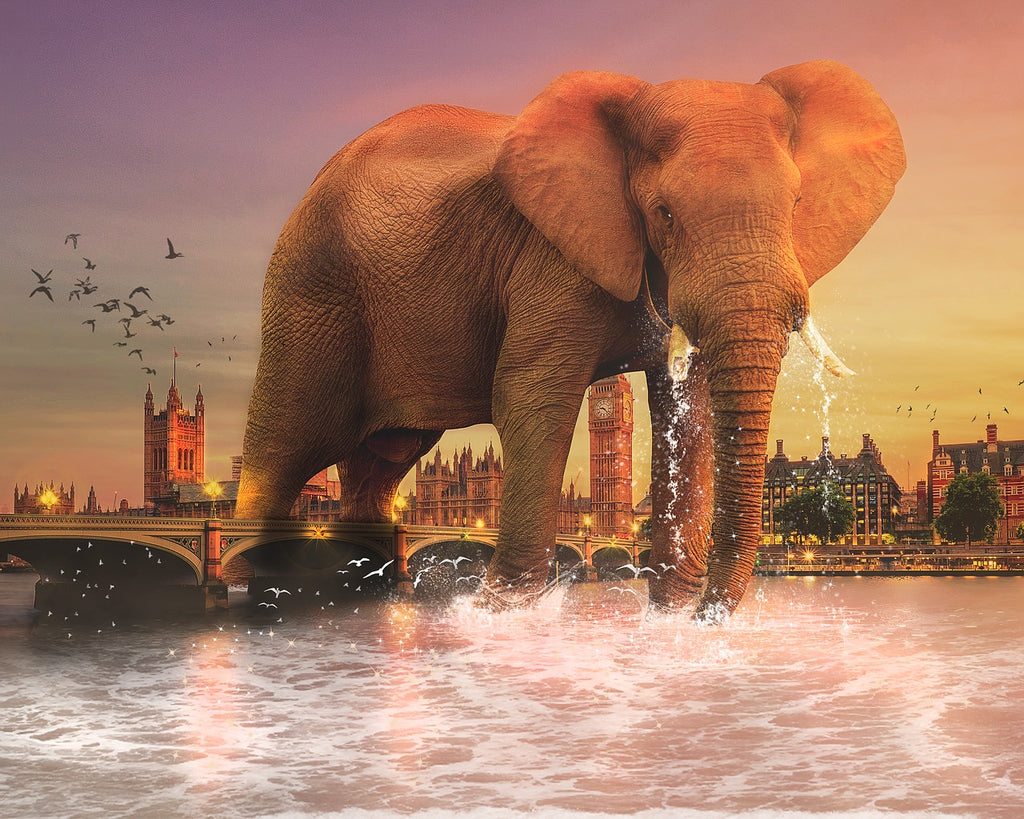 Diamond painting olifant in stad