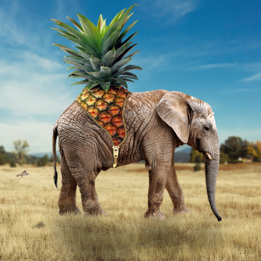 diamond painting olifant met ananas
