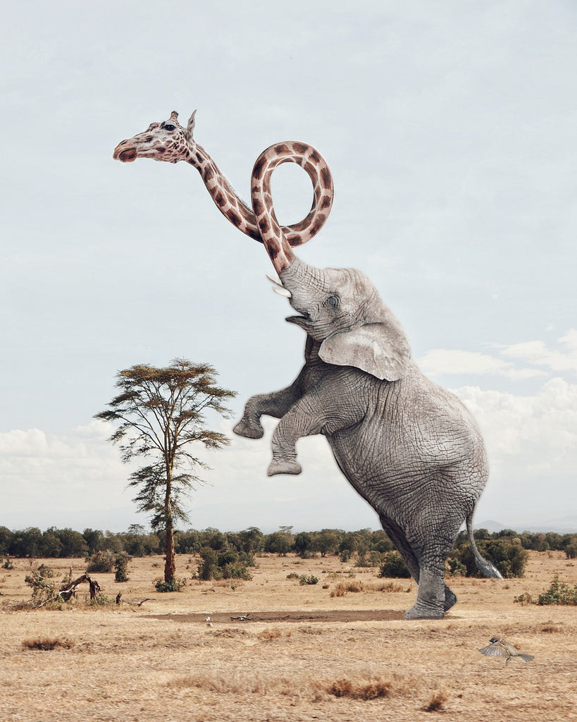 diamond painting olifant met giraffe slurf