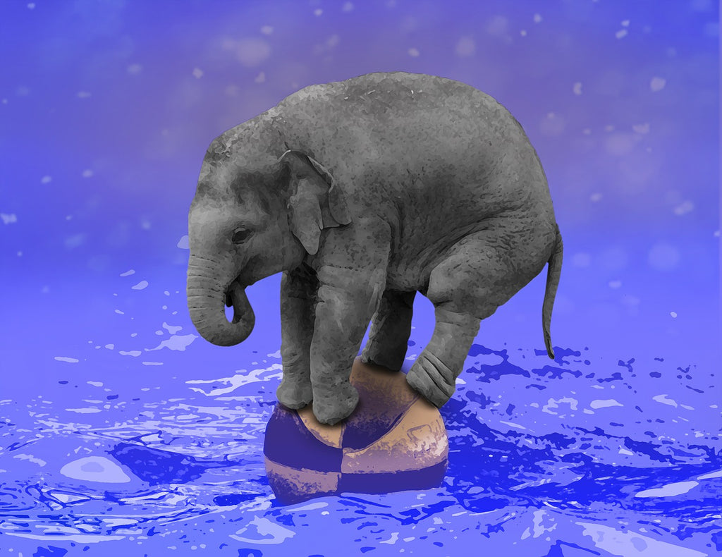 Diamond painting olifant op bal