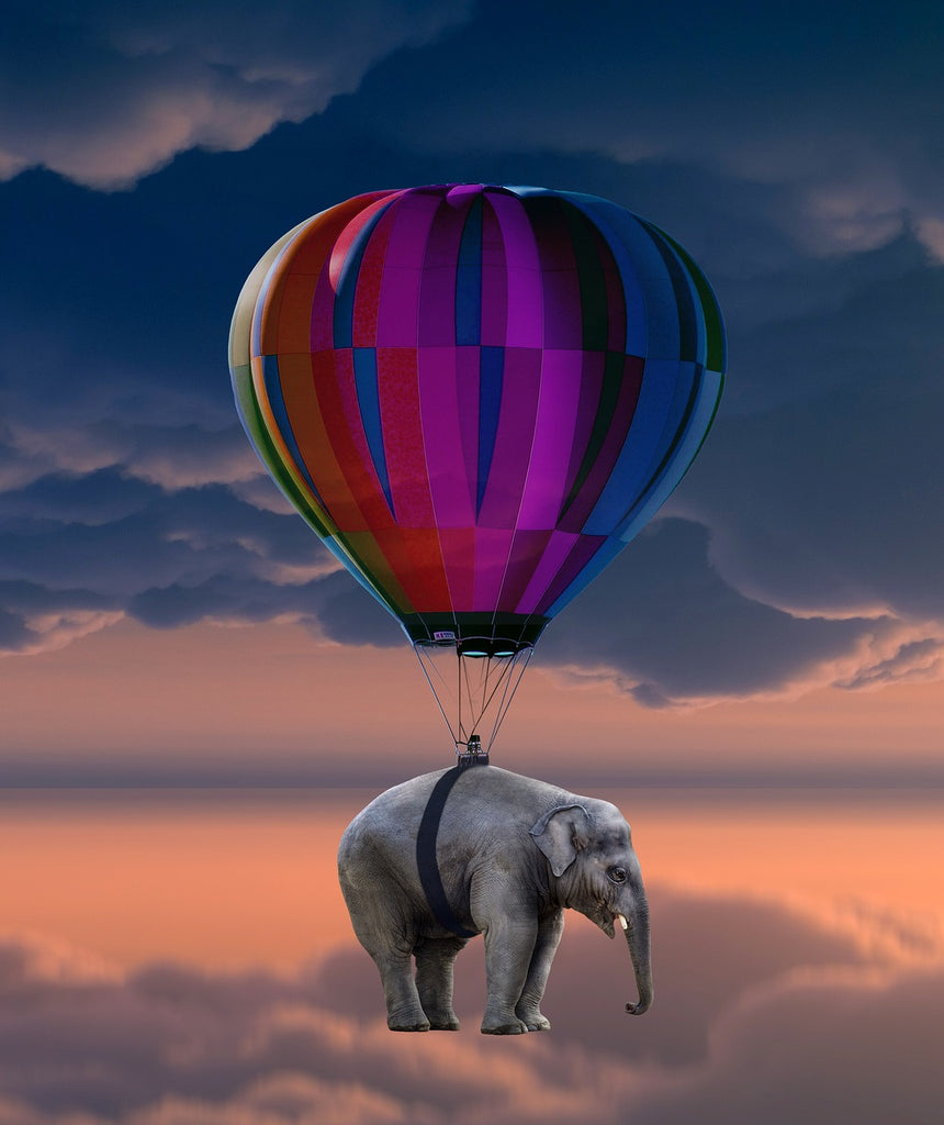 Diamond painting olifant vliegt luchtballon