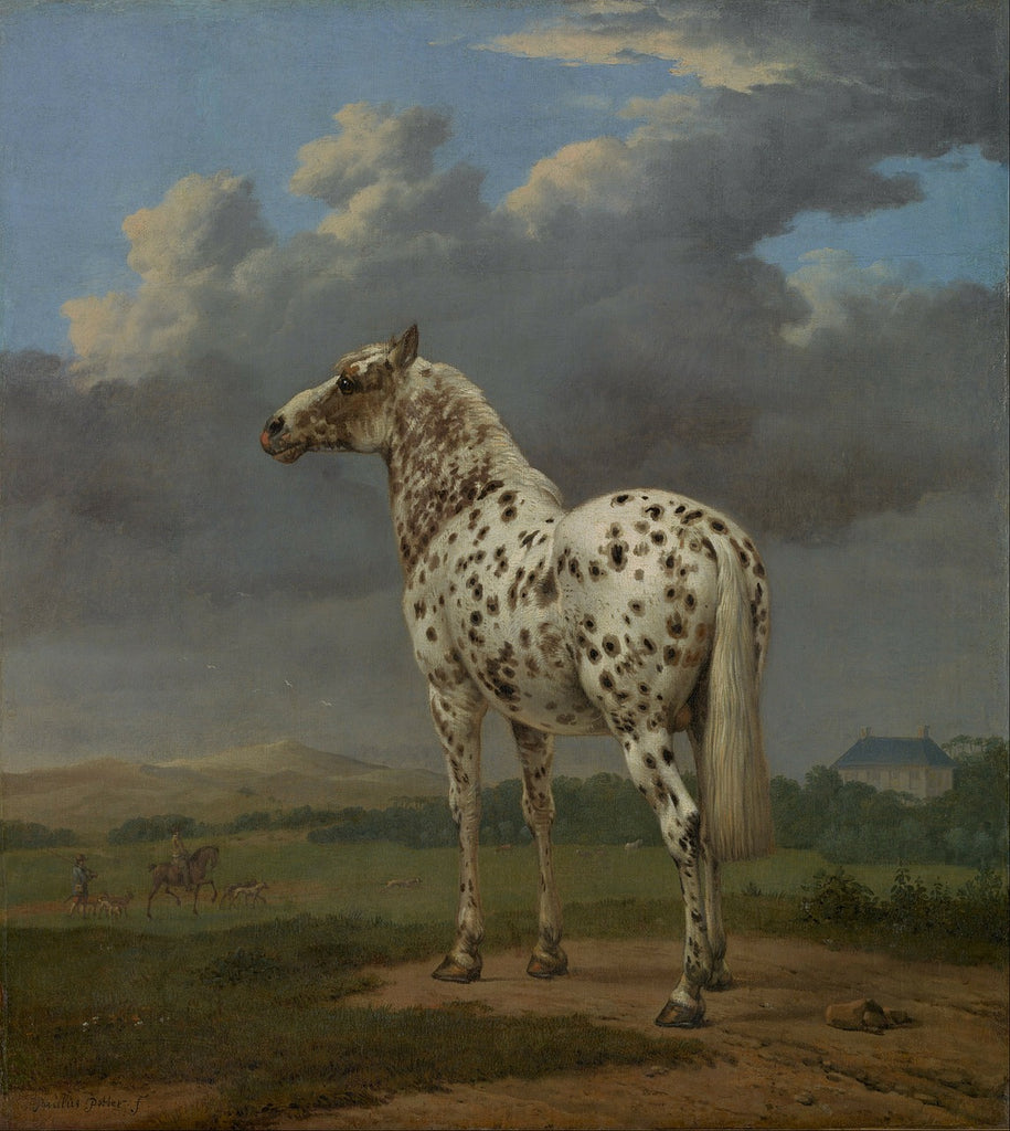 Diamond painting paard Paulus Potter kunst