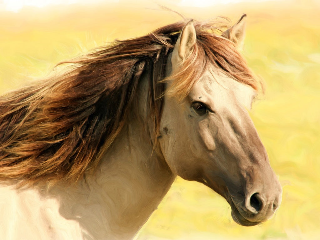 Diamond painting paardenhoofd