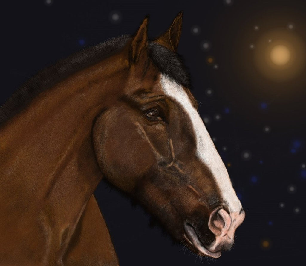 Diamond painting paardenkop bij nacht