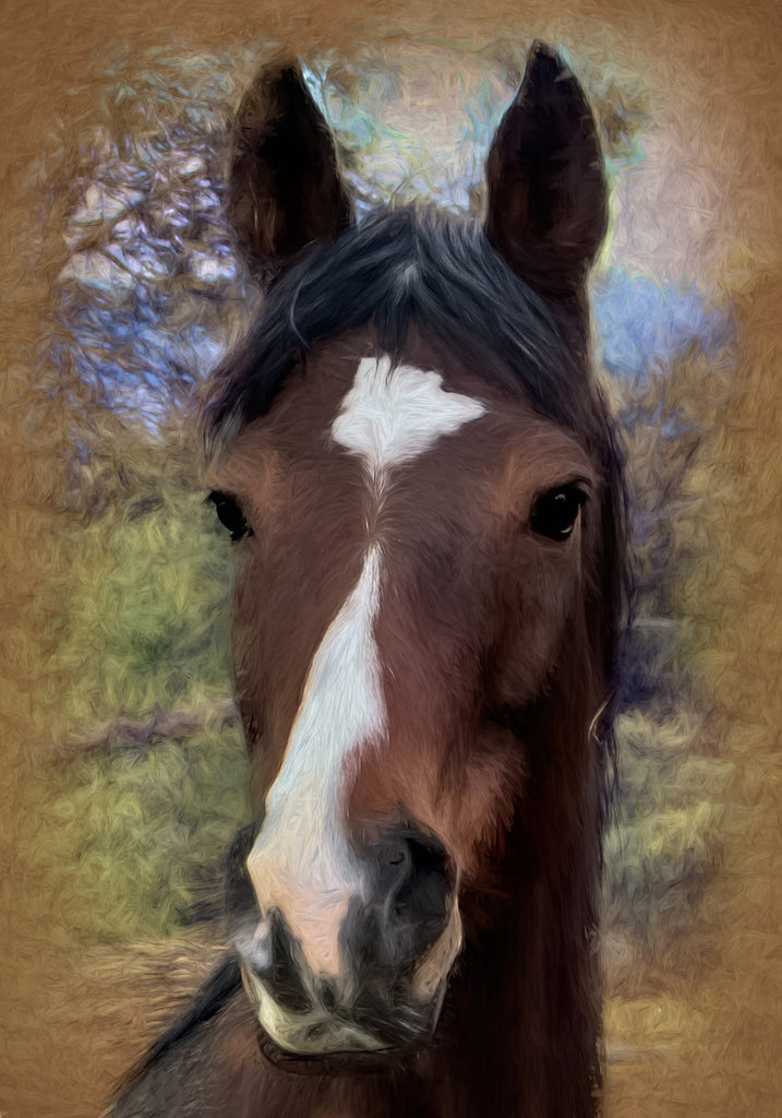 Diamond painting paardenkop bruin met wit