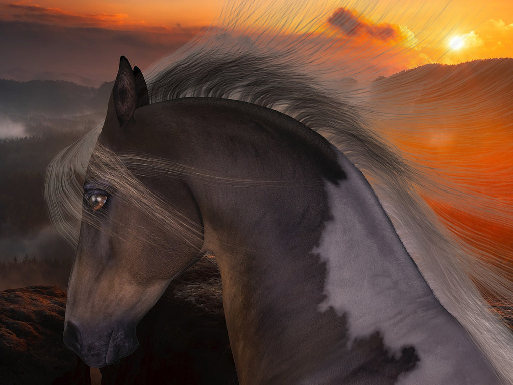 Diamond painting paardenhoofd zonsondergang