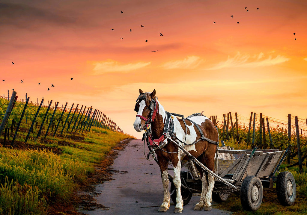 Diamond painting paard en wagen
