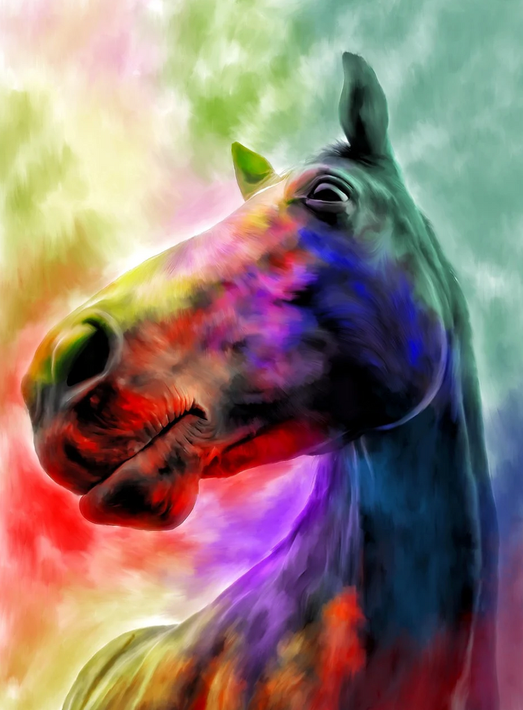 Diamond painting paard kleurrijk