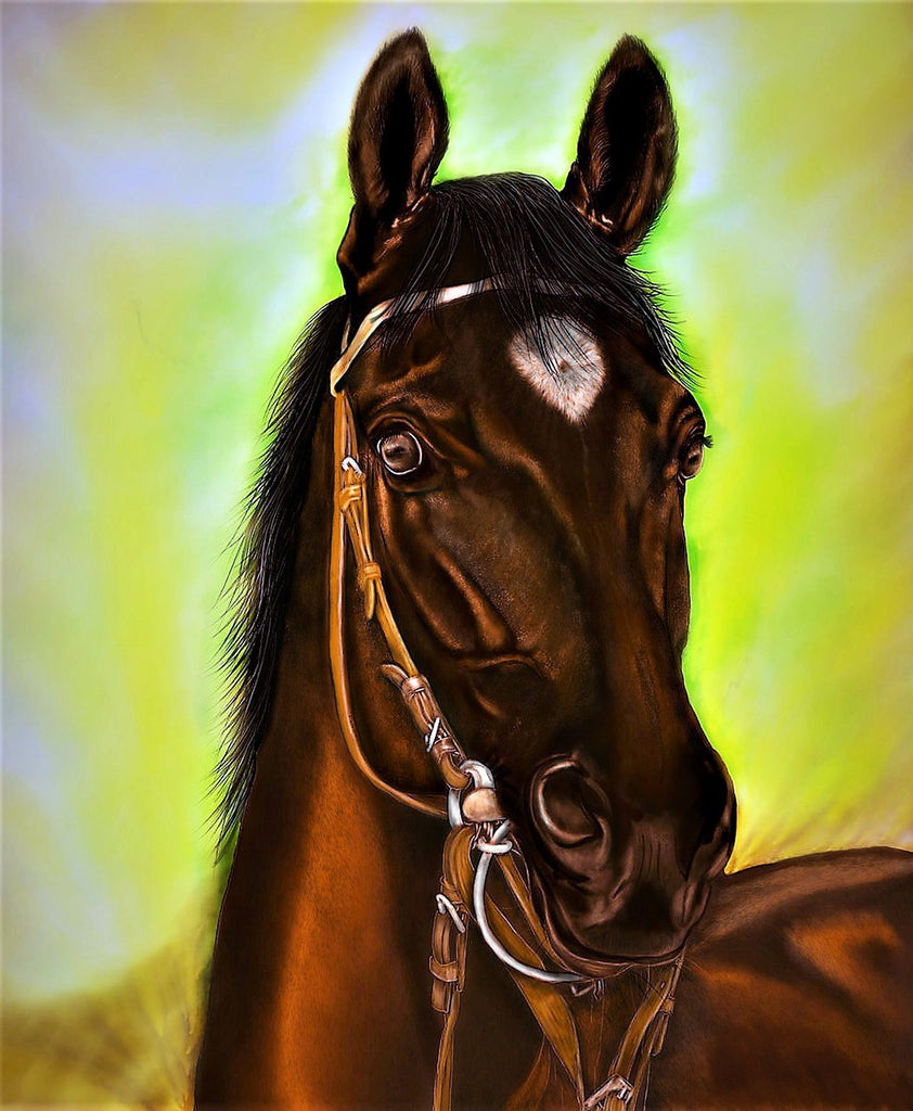 Diamond painting portret bruin paard