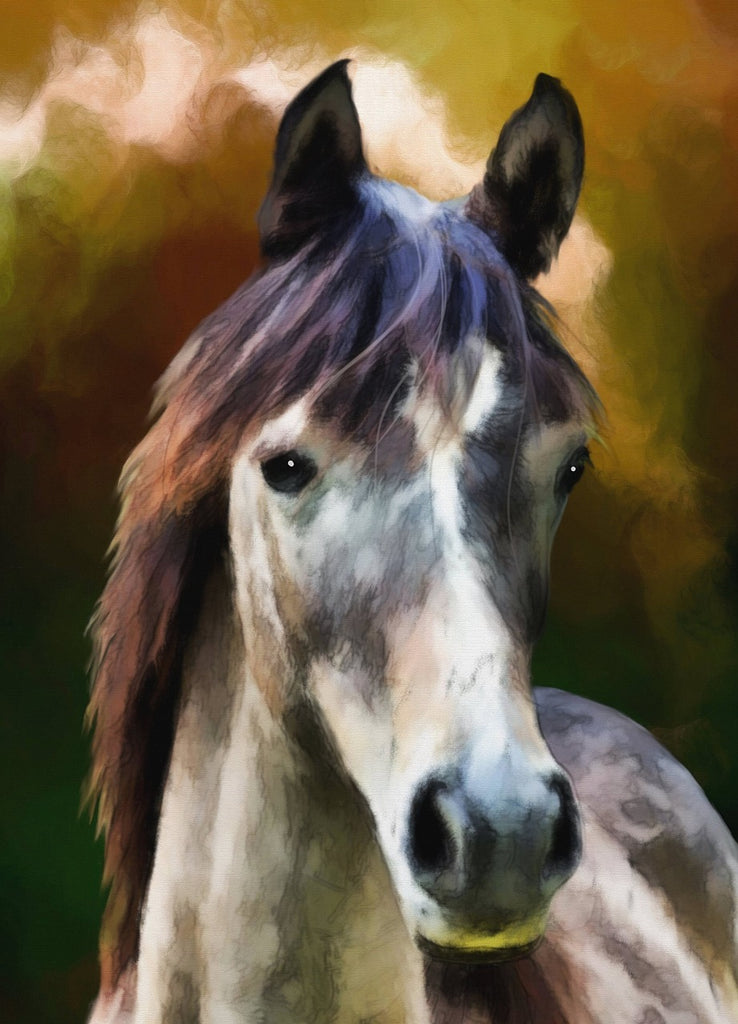 Diamond painting portret paard