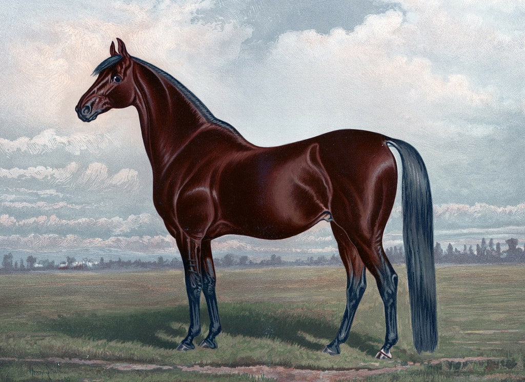 Diamond painting renpaard kastanje bruin