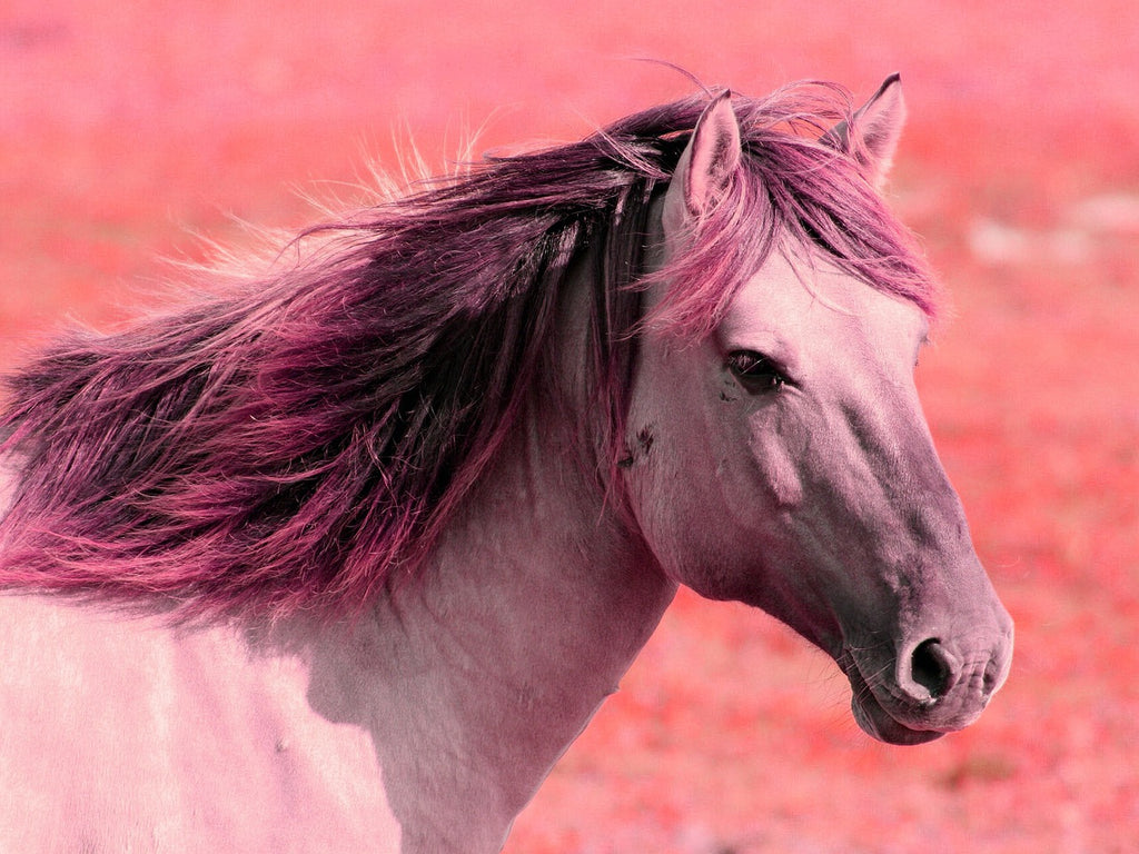 diamond painting roze paard