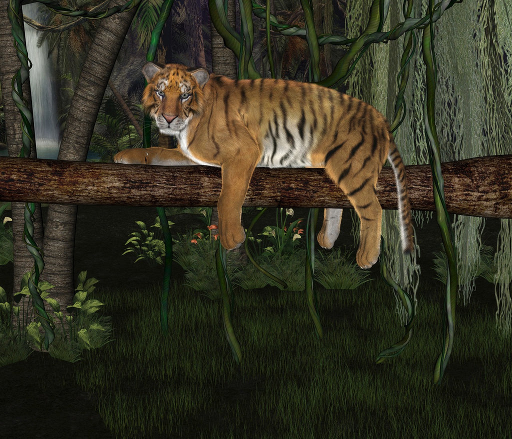 Diamond painting tijger in natuur