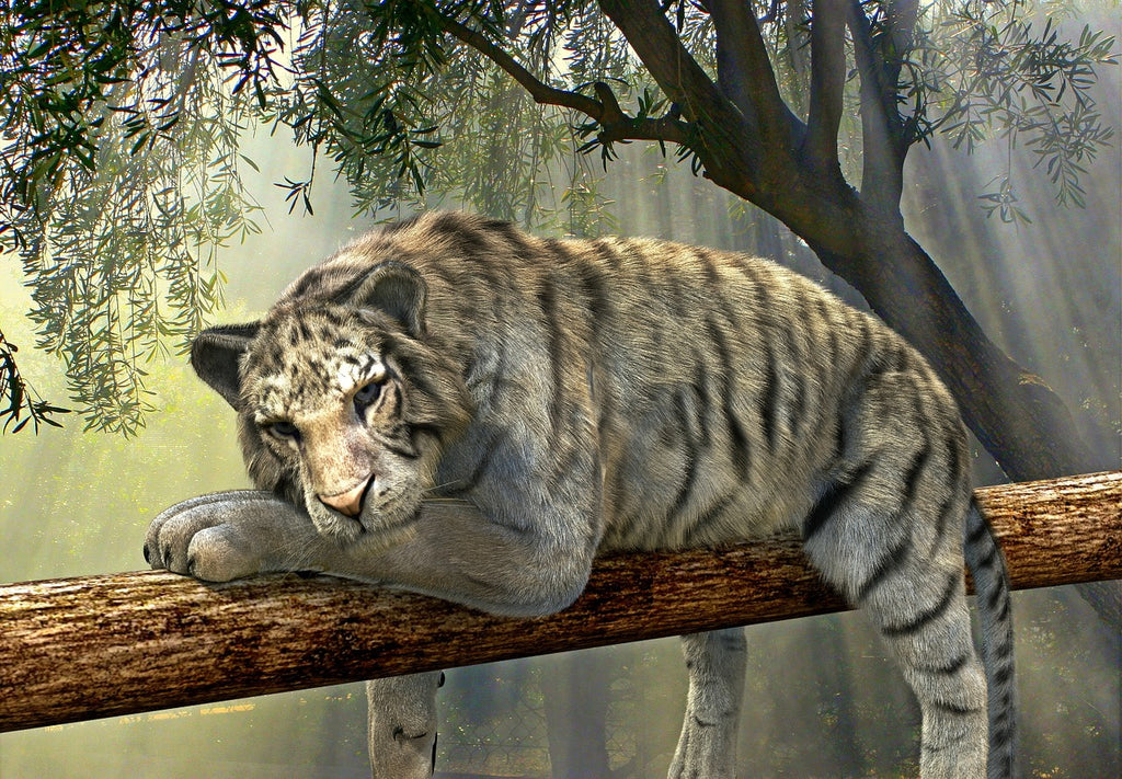 Diamond painting tijger in jungle