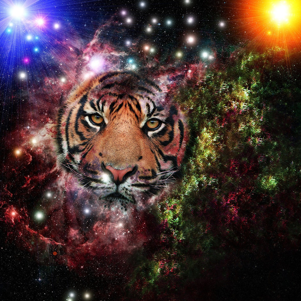 Diamond painting tijger universum