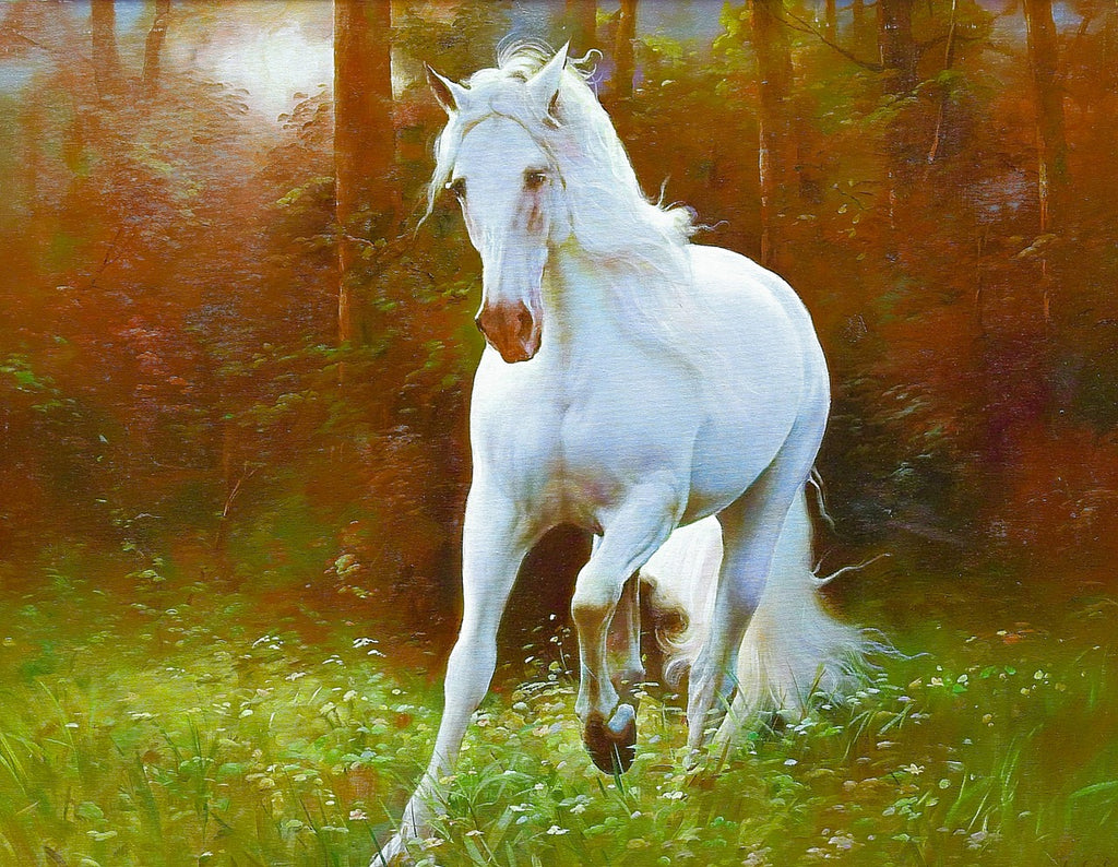 Diamond painting wit paard in natuur schilderij