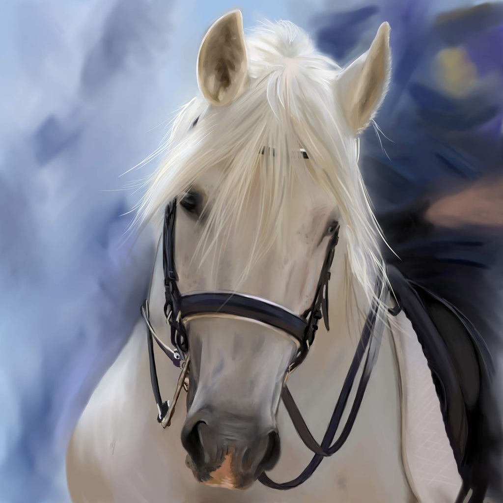 Diamond painting wit paard kunst