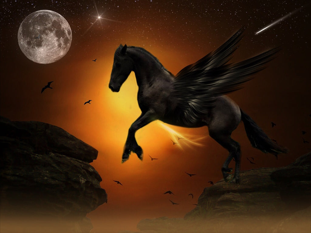 Diamond painting pegasus zwart paard