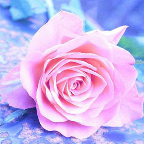 diamond painting roze roos