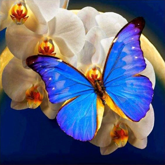 diamond painting vlinder blauw