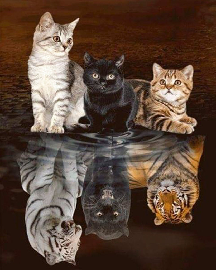 Diamond painting katten in spiegelbeeld tijgers