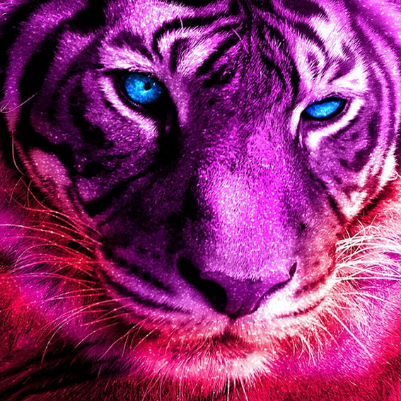 diamond painting tijger roze met blauwe ogen