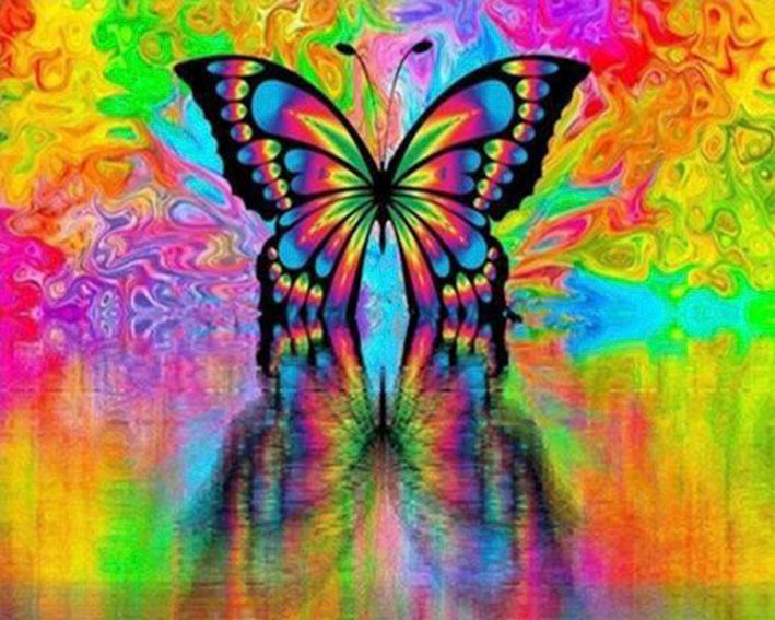 diamond-painting-vlinder-kleurrijk-spiegelbeeld