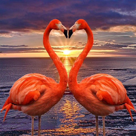Diamond painting flamingo liefde