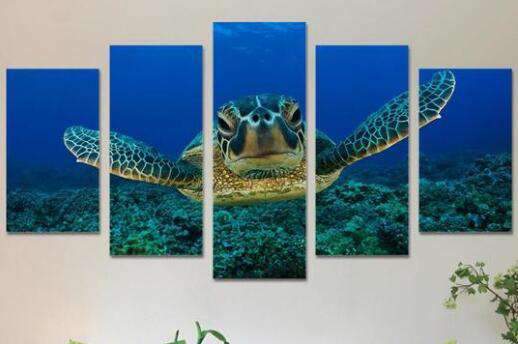 diamond painting vijfluik schildpad